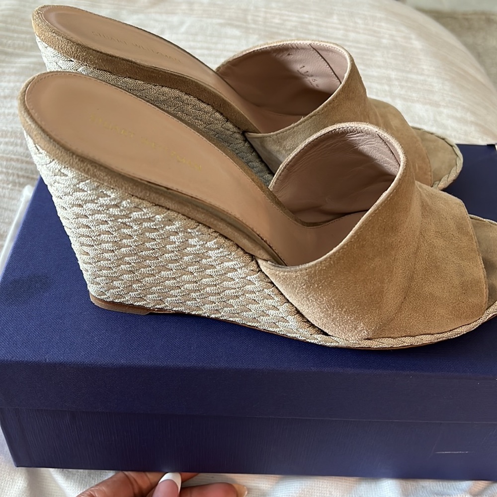 Stuart Weitzman Azure suede shoes